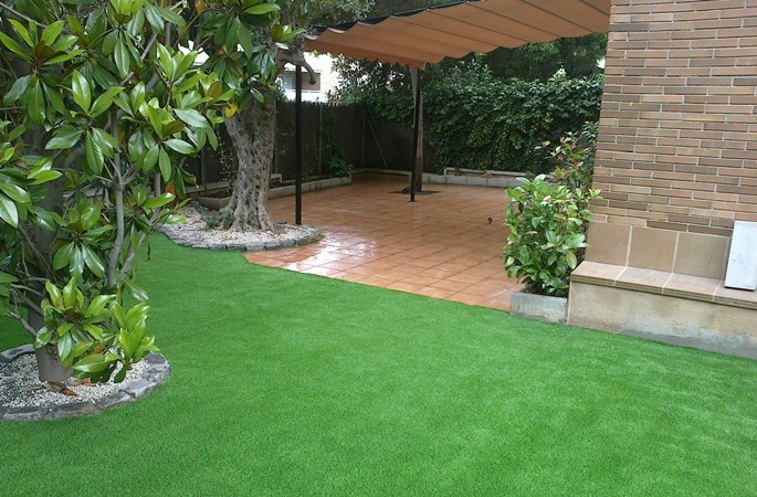 Proyecto DFP